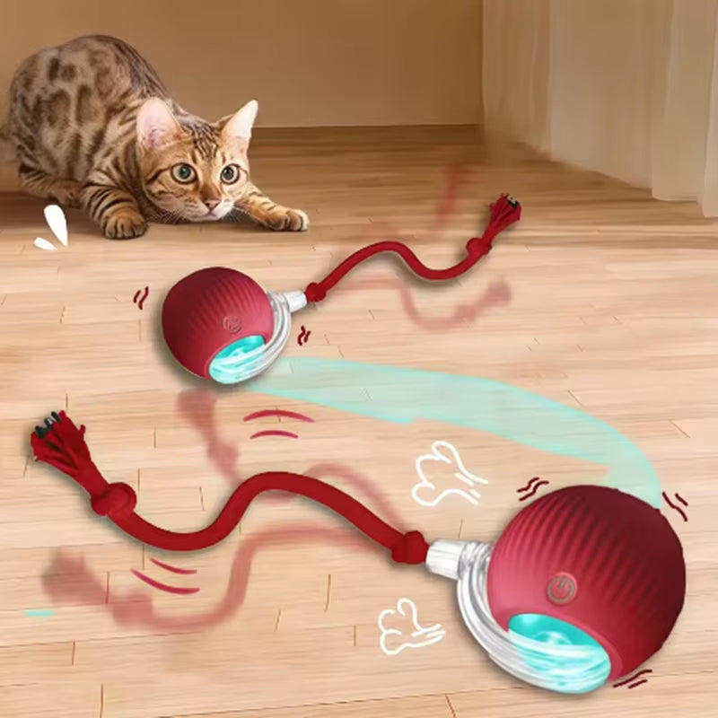 Hot Cat Toys Are Automatically Teasing Cat Balls and Self-Exciting Cat Sticks and Ticks and Resistant to Wear and Bite Pet Toys